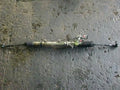 Conjunto de cremallera y piñón de dirección asistida TOYOTA Progres 4420051110 [PASKU120404]