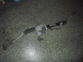 Rack and pinion assembly compatible with power steering for DAIHATSU Hijet atrai 2006 [PA08964779]