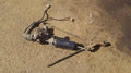 Rack and pinion assembly compatible with power steering for SUBARU Sambar 2007 [Used] [PA116589809]