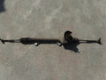 Rack and pinion assembly compatible with power steering NISSAN Lafesta 48001EN100 [PA119056138]
