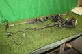 Rack and pinion assembly compatible with power steering for MITSUBISHI Townbox [PA123833916]