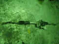 Automotive Replacement Part - HONDA Life 2008 Rack and pinion assembly power steering 53601SFA043 [PA64970794]