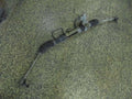 Rack and pinion assembly compatible with power steering for MITSUBISHI eK Wagon 2001 [PA01121266]