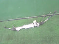 Rack and pinion assembly compatible with power steering TOYOTA Crown 4420030A00 [PA120449237]