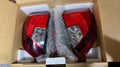 Used OEM Part - Genuine part compatible with passenger vehicles Honda Honda Fit GK GP Set of Tail Lights genuine (1 unit)